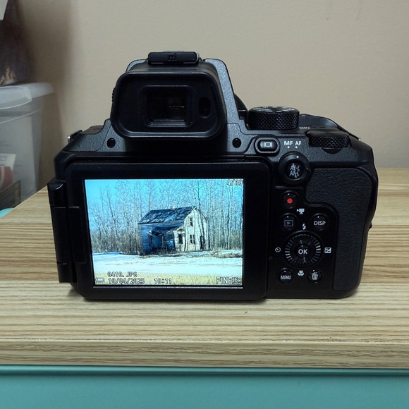 Nikon CoolPix P950 superzoom - Picture 4 of 11